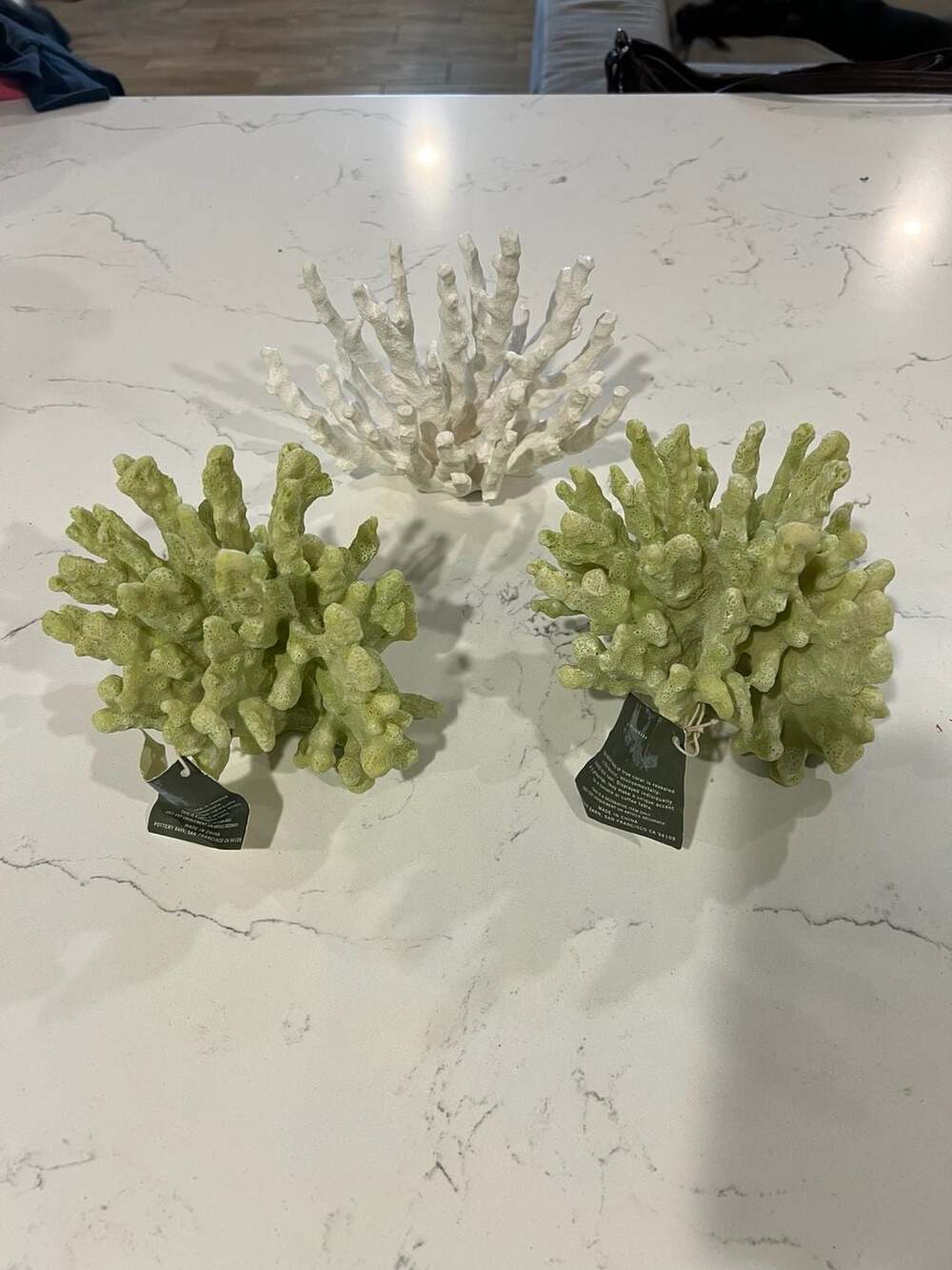 Pottery Barn Faux Resin Coral Decor Mixed Trio Green and White